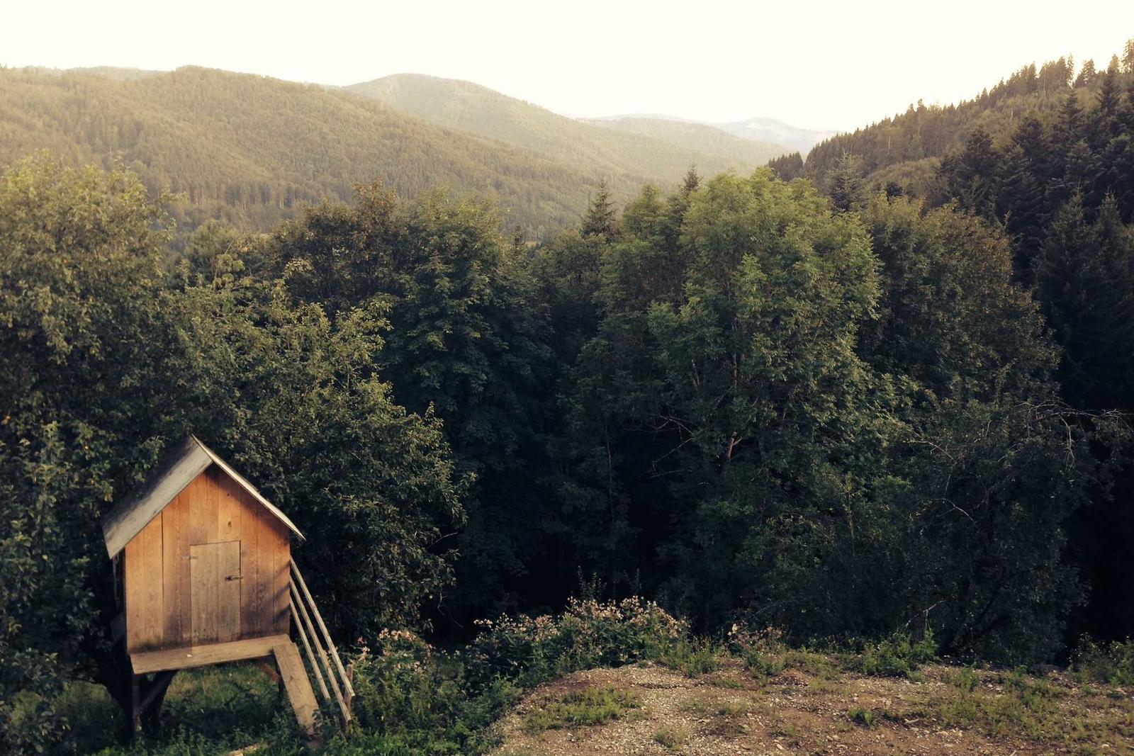 Small timber shed on stilts at the edge of a wooded hillside, mountains behind